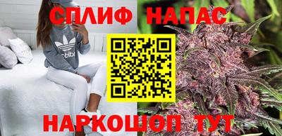 гидра Славянск-на-Кубани