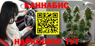 СК Славгород