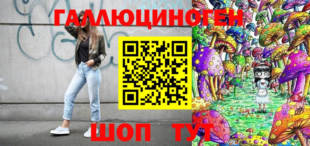 Псилоцибиновые грибы MAGIC MUSHROOMS  Вход с VPN  Осинники 