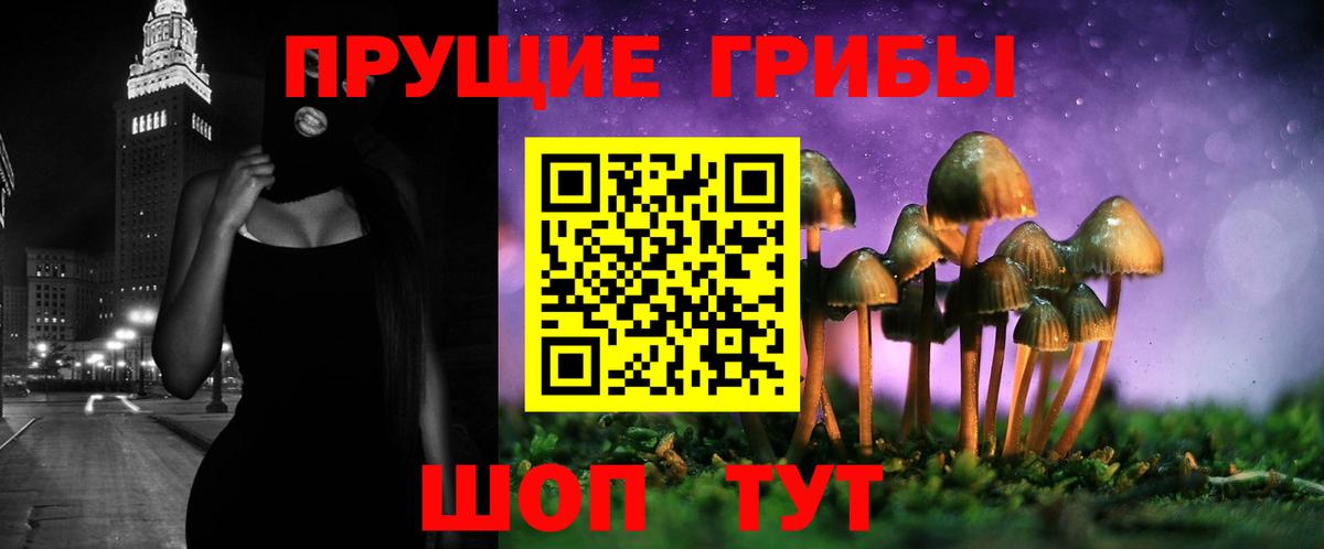 Псилоцибиновые грибы Psilocybe Осинники